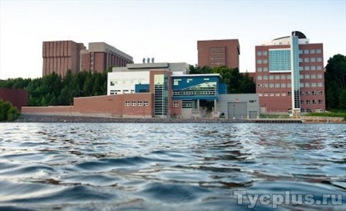 Мичиганский технологический университет